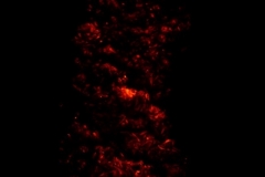 b13fire-01