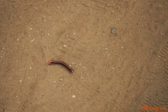b13photo-08