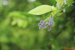b13photo-09