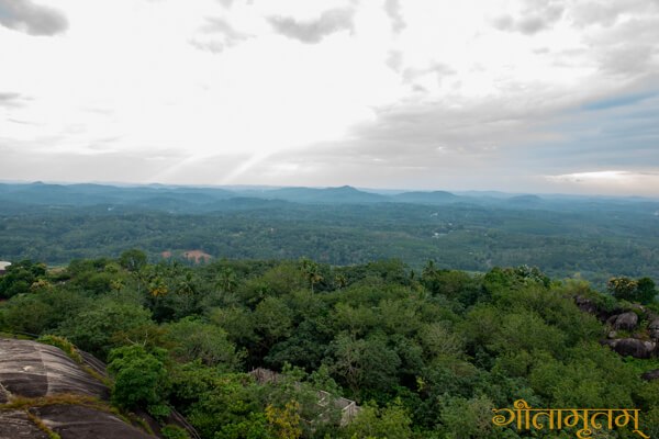 areal view from Jatayu para